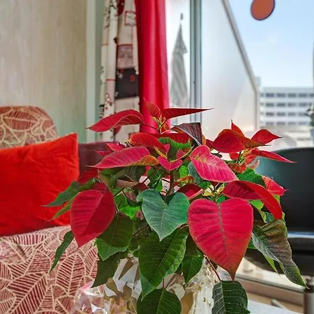 Apartamento Elefantes House *